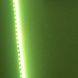 Meet your Posher, Sienna